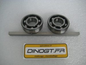 Roulements cage polyamide TN9 avec pions